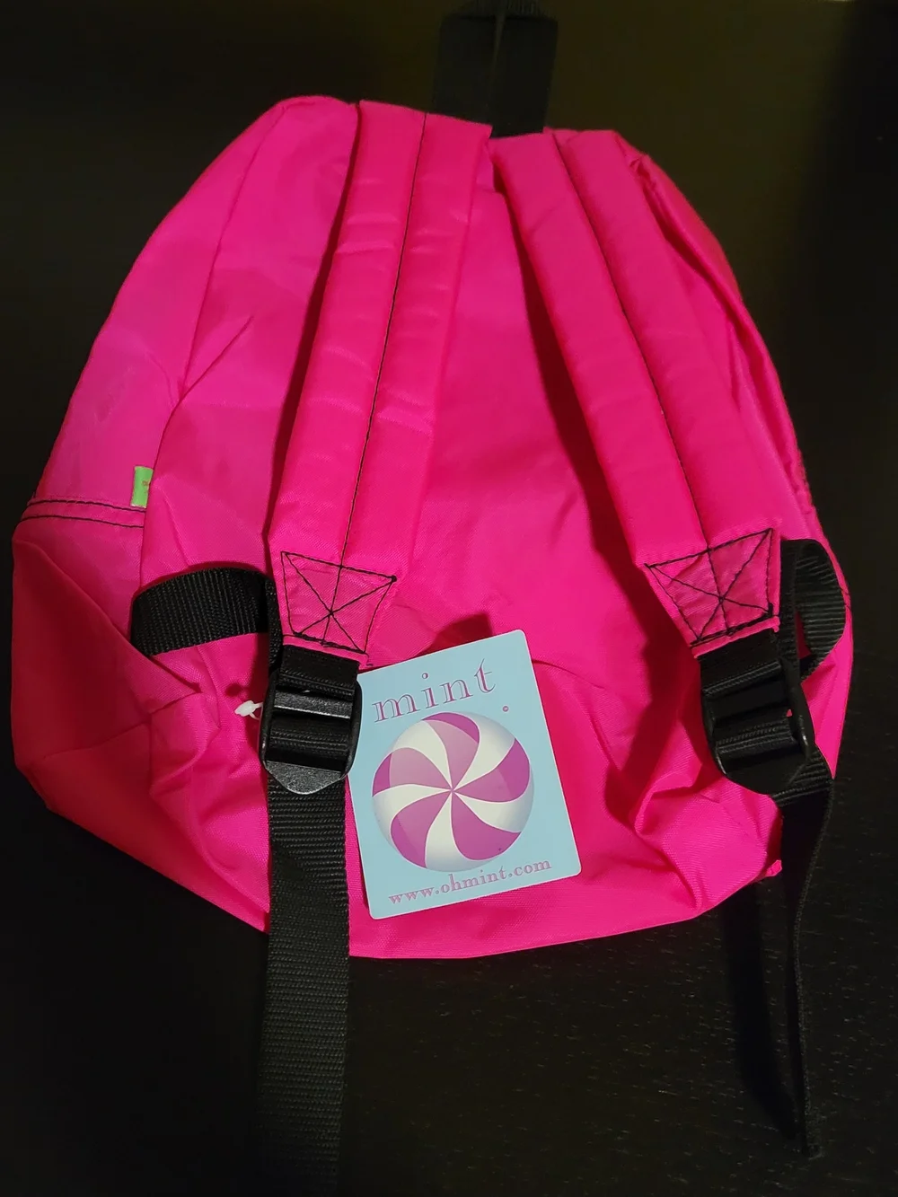 NEW Pink Backpack with Zebra Accent Small Front Zipper Pouch. Back To School